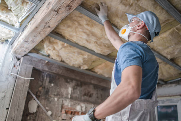Best Residential Insulation in Shinnecock Hills, NY